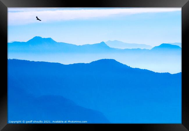 Blue dawn with Eagle Framed Print by geoff shoults