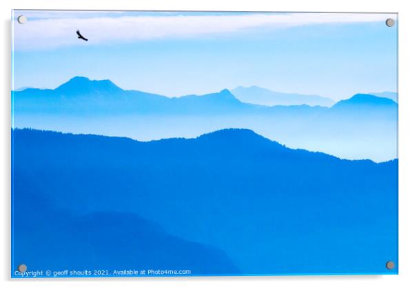 Blue dawn with Eagle Acrylic by geoff shoults