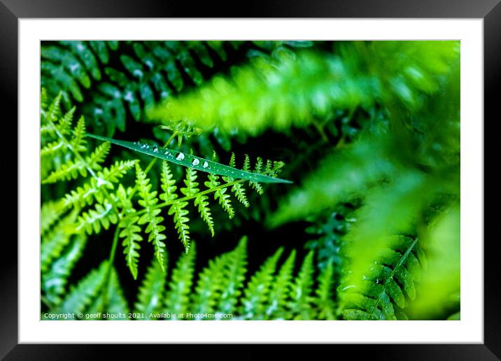 Green Framed Mounted Print by geoff shoults