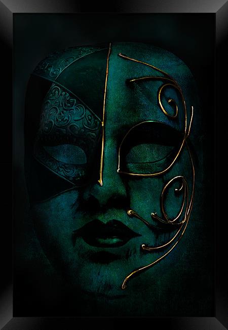Masquerade Framed Print by Ann Garrett