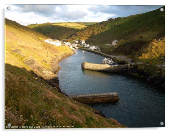 Boscastle Famous Cornish Harbour Acrylic by Dave Bell