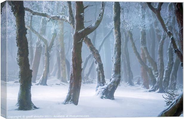 Narnia ? Canvas Print by geoff shoults
