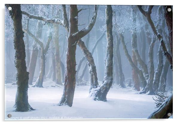 Narnia ? Acrylic by geoff shoults