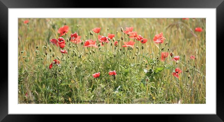 Poppy field Framed Mounted Print by Claire Turner