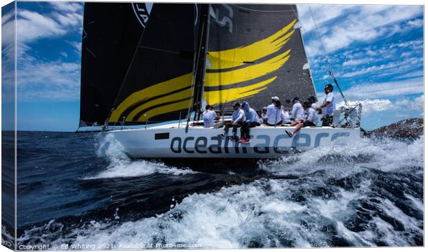 Oceanracers at Antigua Sailing Week. Canvas Print by Ed Whiting