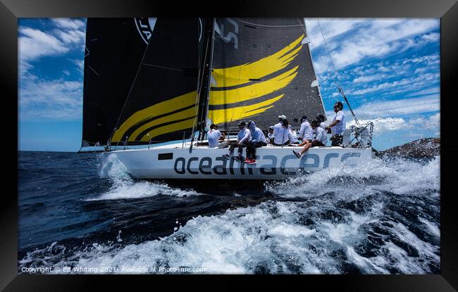 Oceanracers at Antigua Sailing Week. Framed Print by Ed Whiting