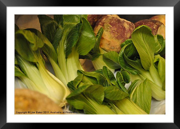 Bok Choy and Turnip Medley Framed Mounted Print by Lise Baker