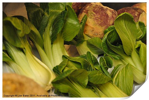 Bok Choy and Turnip Medley Print by Lise Baker