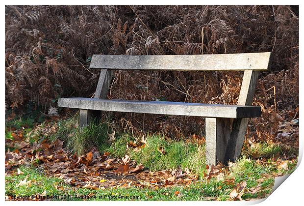 Lonely Bench Print by Lise Baker