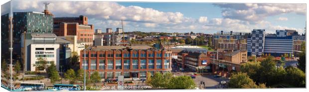 Leeds City Skyline, view North along York Street Canvas Print by Terry Senior