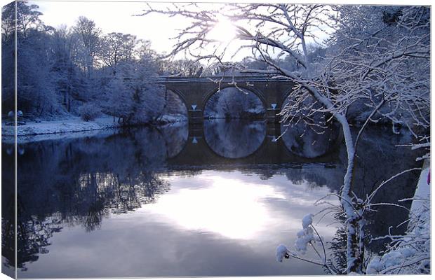 River Wear in winter Canvas Print by Dave Parkin