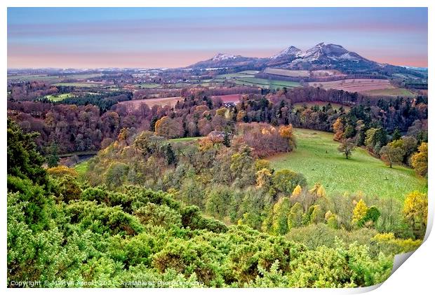 Scott's View, Melrose, Scottish Borders Print by Martyn Arnold