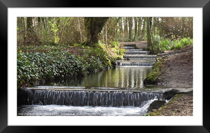 The cascade, Tehidy Country Park, Cornwall Framed Mounted Print by Brian Pierce