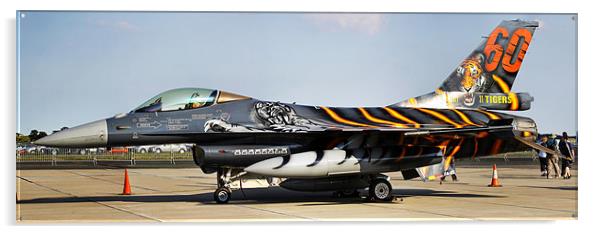 F16 NATO Tigermeet Acrylic by Oxon Images