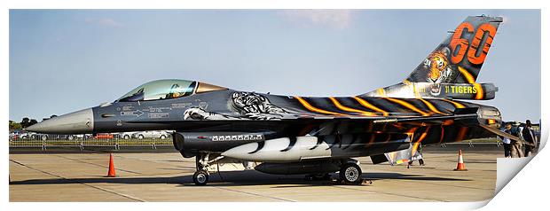 F16 NATO Tigermeet Print by Oxon Images