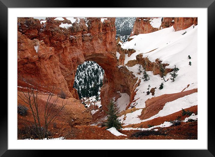 bryce canyon winter Framed Mounted Print by milena boeva