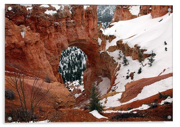 bryce canyon winter Acrylic by milena boeva