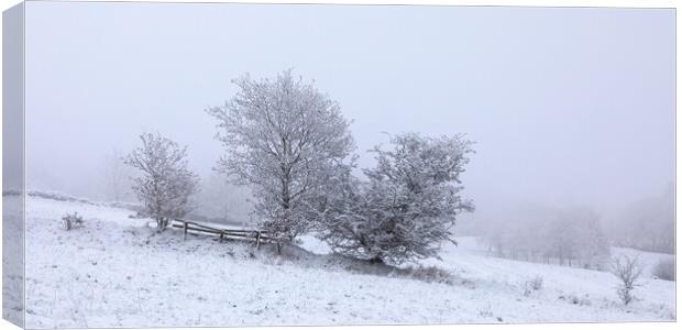 Trees In Winter Snow Canvas Print by Phil Durkin DPAGB BPE4