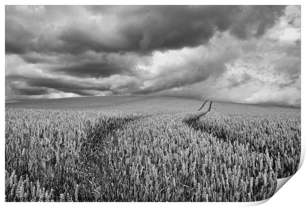 Storm clouds over the wheat. Print by mick vardy