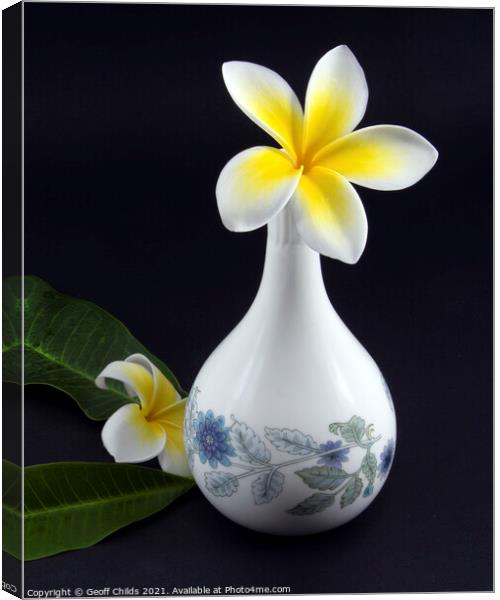 Colourful Frangipani in decorative vase.  Canvas Print by Geoff Childs