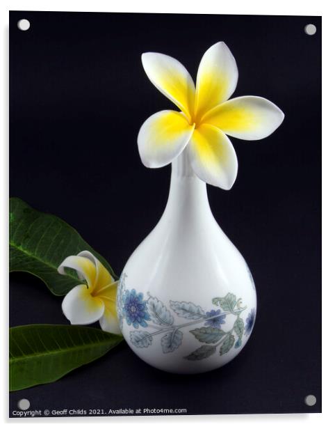 Colourful Frangipani in decorative vase.  Acrylic by Geoff Childs