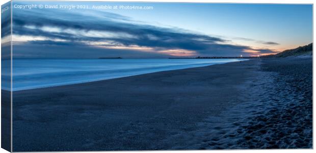 Warkworth Beach Canvas Print by David Pringle