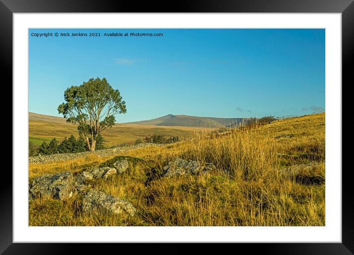 Eucalyptus Tree in the Brecon Beacons South Wales Framed Mounted Print by Nick Jenkins