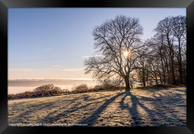Shadows of a tree on a frosty Devon hilltop Framed Print by Gary Holpin