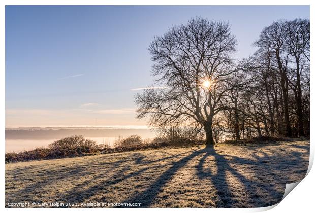 Shadows of a tree on a frosty Devon hilltop Print by Gary Holpin