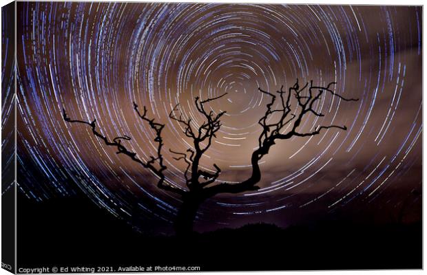 Star trail behind the old tree on a Cornish Moor Canvas Print by Ed Whiting