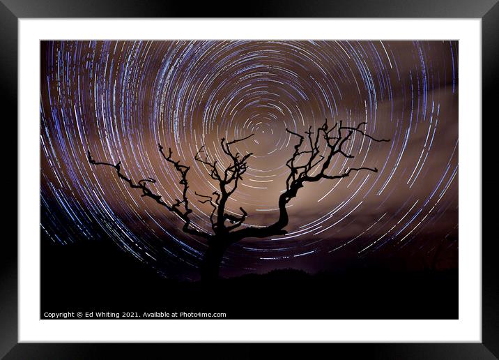 Star trail behind the old tree on a Cornish Moor Framed Mounted Print by Ed Whiting