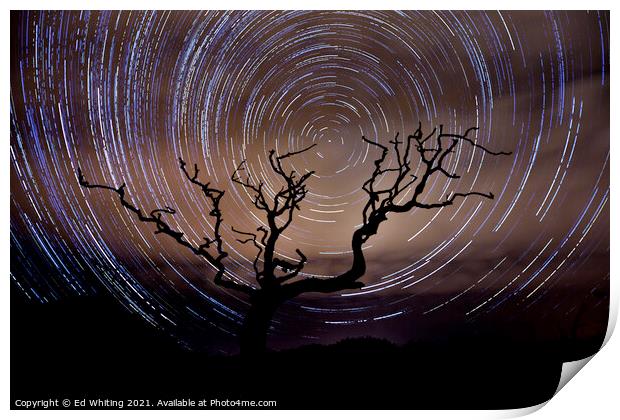 Star trail behind the old tree on a Cornish Moor Print by Ed Whiting