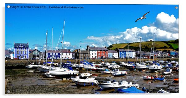 Aberaeron's large harbour (tide out) Acrylic by Frank Irwin