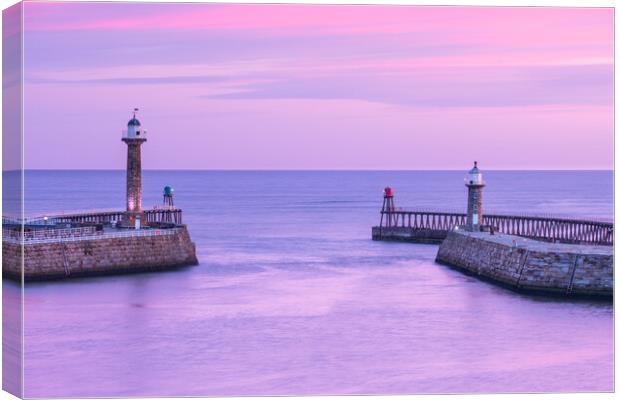 Whitby harbour. Canvas Print by Bill Allsopp