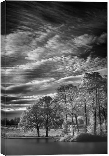 In dawns rays. Canvas Print by Bill Allsopp