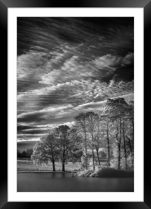 In dawns rays. Framed Mounted Print by Bill Allsopp