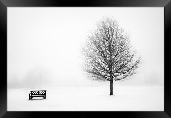 Bench and tree. Framed Print by Bill Allsopp