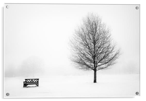 Bench and tree. Acrylic by Bill Allsopp