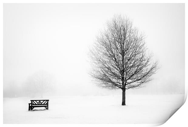 Bench and tree. Print by Bill Allsopp