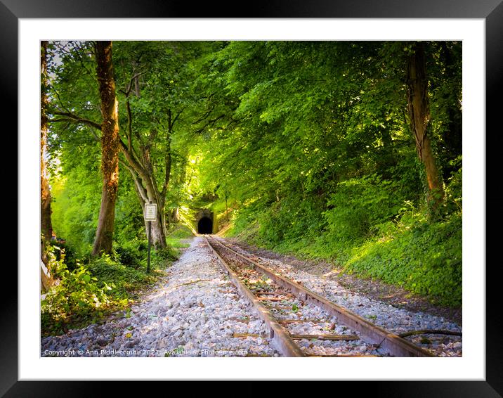 Train tracks at Cappy Framed Mounted Print by Ann Biddlecombe