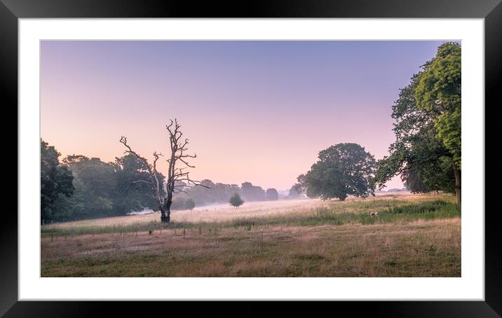 Mist in the meadow. Framed Mounted Print by Bill Allsopp