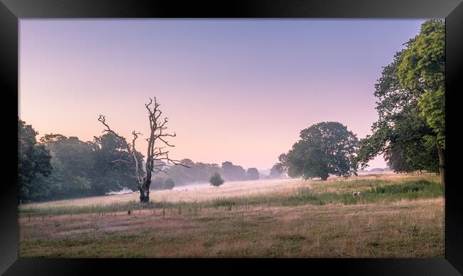 Mist in the meadow. Framed Print by Bill Allsopp