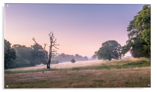 Mist in the meadow. Acrylic by Bill Allsopp