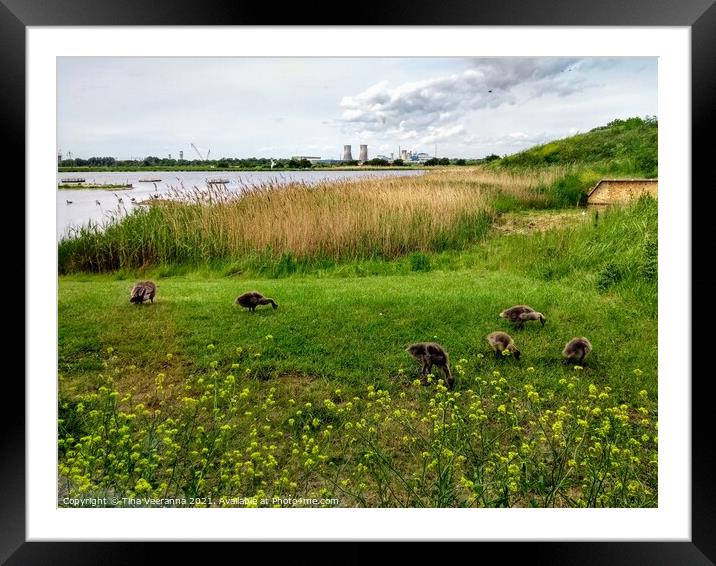 Saltholme view Framed Mounted Print by Tina Veeranna