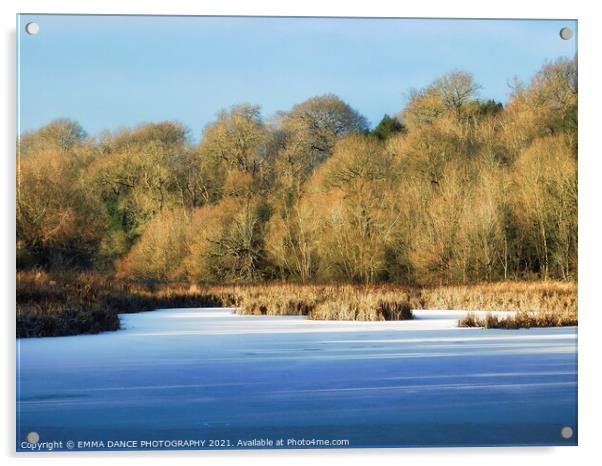 Winter at Hagg Pond,  Wylam Acrylic by EMMA DANCE PHOTOGRAPHY