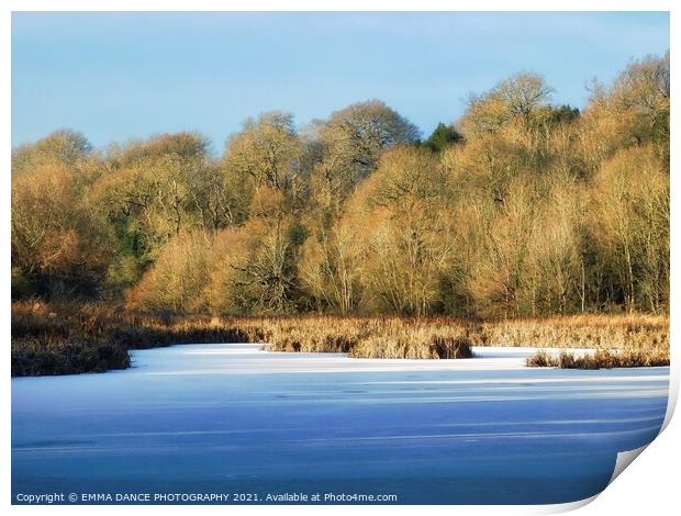 Winter at Hagg Pond,  Wylam Print by EMMA DANCE PHOTOGRAPHY