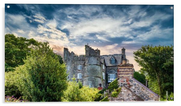 Old Castle, Newport, Pembrokeshire, Wales, UK Acrylic by Mark Llewellyn