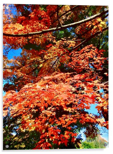 Orange Maple Leaves Acrylic by Stephanie Moore