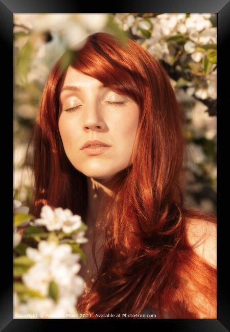 Woman In Spring Blossom Framed Print by Amanda Elwell