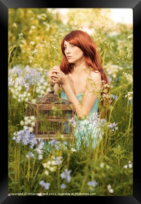 Woman In Bluebell Flowers Framed Print by Amanda Elwell